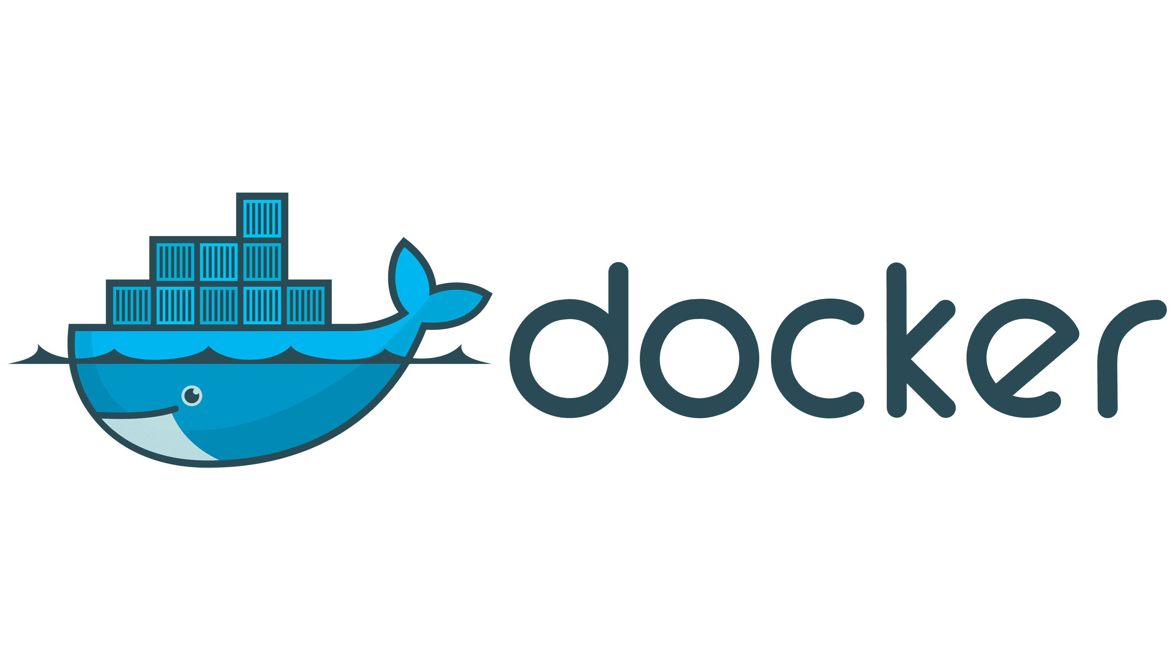 Docker Programmer